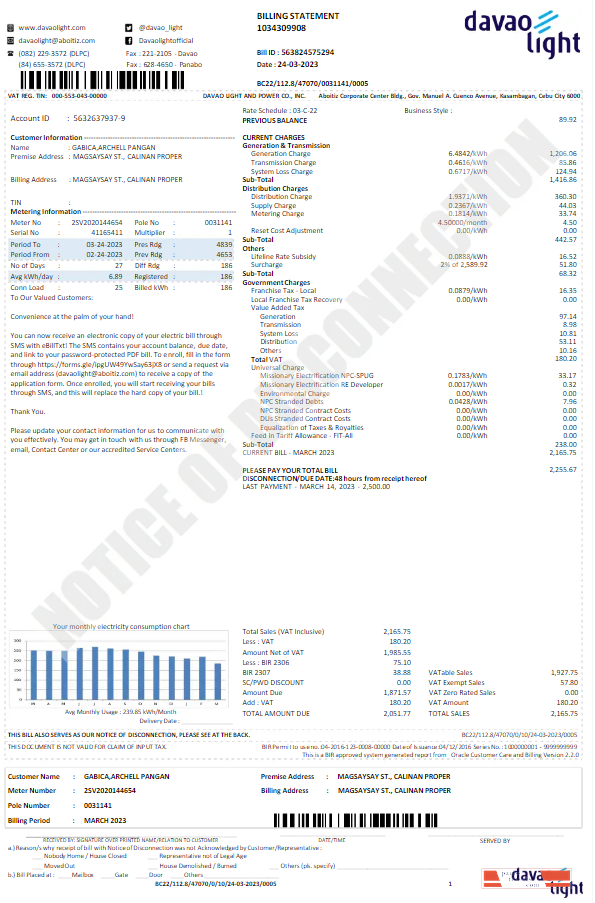 USA DAVAO LIGHT utility bill Word and PDF template